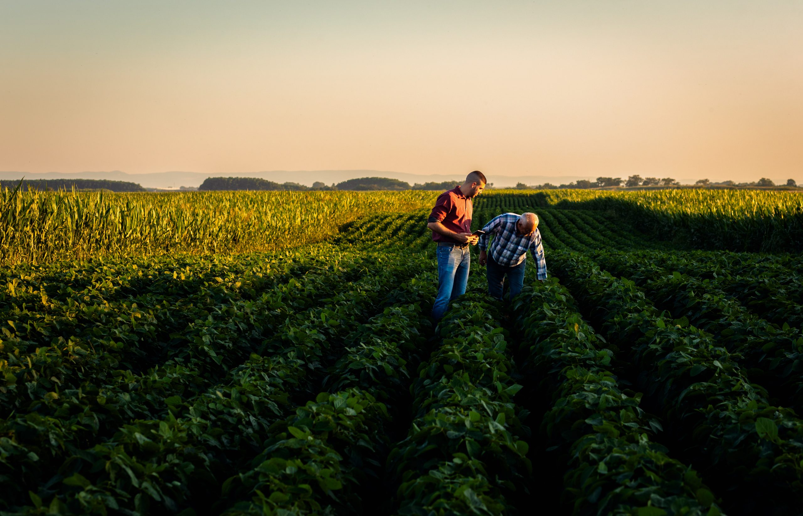 24/7 Healthcare Access for Farmers: How Teladoc and the Chambers Plan